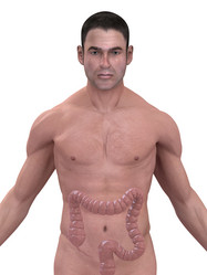 Similar image 8215249