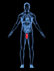 Similar image 8215305