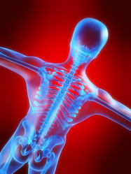 Similar image 8215335