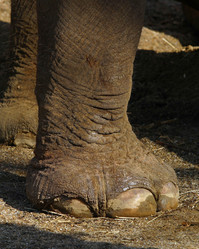 Similar image 8215381