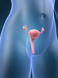 Similar image 8215417