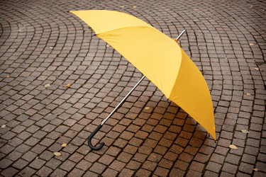 Similar image 8215436