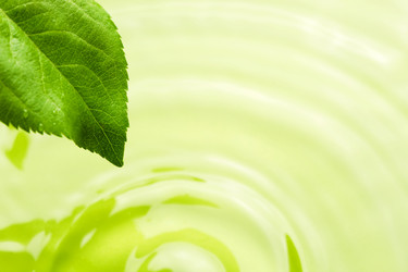 Similar image 8215512