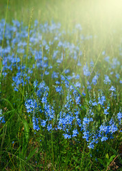 Similar image 8215525