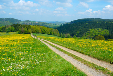 Similar image 8215544