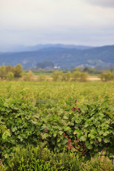 Similar image 8215550