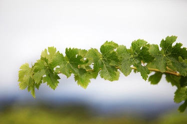 Similar image 8215551