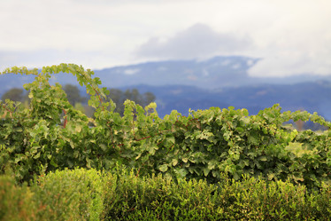 Similar image 8215553