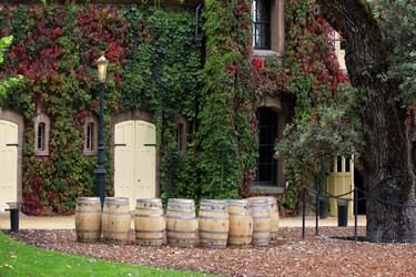 Similar image 8215556