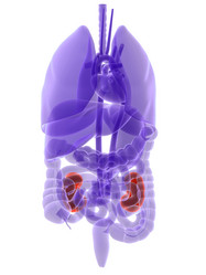 Similar image 8215596