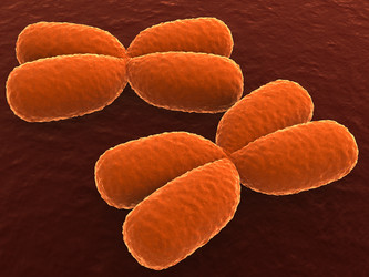 Similar image 8215636