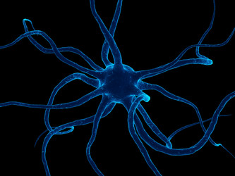 Similar image 8215638