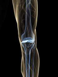 Similar image 8215644