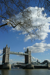 Similar image 8215652