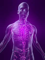 Similar image 8215682