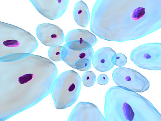 Similar image 8215713