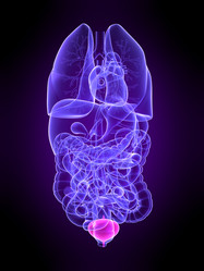 Similar image 8215774