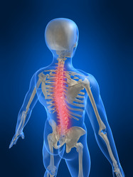 Similar image 8215775