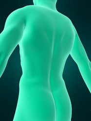 Similar image 8215828