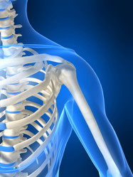 Similar image 8215854