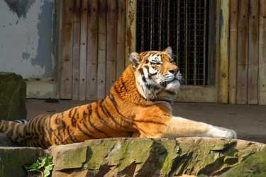 Similar image 8215903