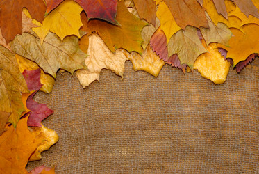 Similar image 8215943