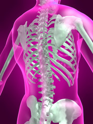 Similar image 8215949