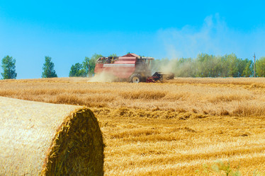 Similar image 8215969