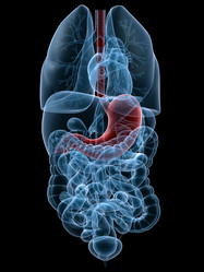 Similar image 8215972