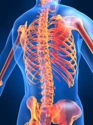 Similar image 8215974