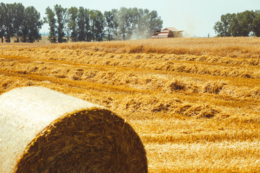 Similar image 8215988