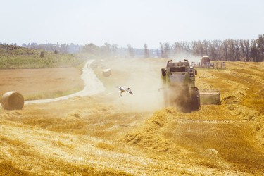 Similar image 8215989