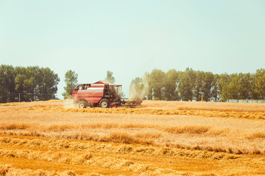 Similar image 8215991