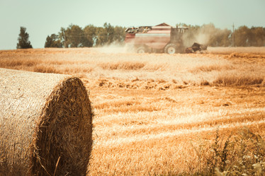 Similar image 8215996