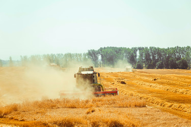 Similar image 8215998