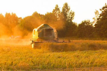 Similar image 8216005