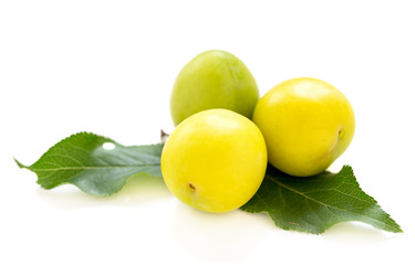 Similar image 8216040