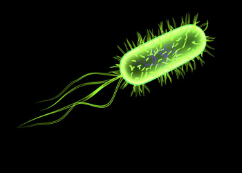 Similar image 8216060