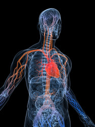 Similar image 8216071