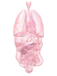 Similar image 8216095