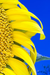 Similar image 8216115