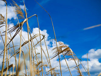 Similar image 8216122