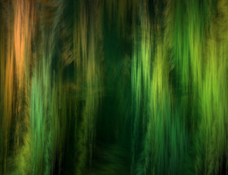 Similar image 8216164