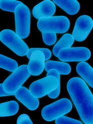 Similar image 8216172