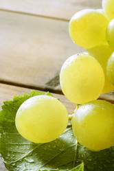 Similar image 8216265