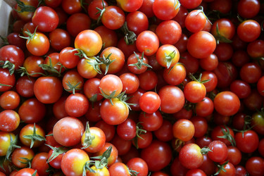 Similar image 8216277