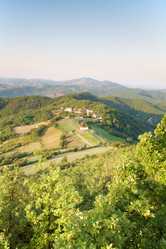 Similar image 8216280