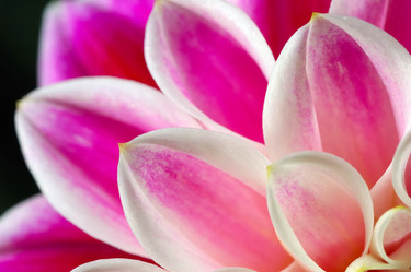 Similar image 8216294