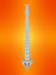 Similar image 8216295