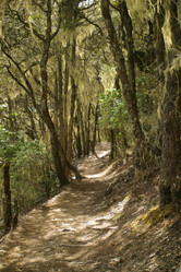 Similar image 8216309